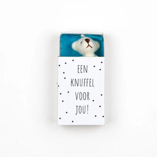 doosje met knuffelbeertje